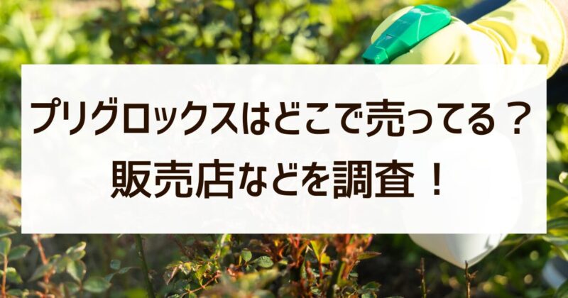 プリグロックス　どこで売っている　販売店　