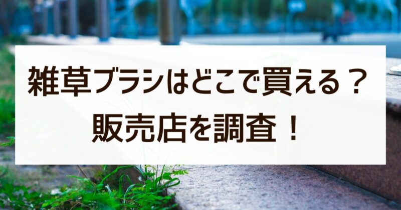 雑草ブラシ　どこで買える　販売店　調査