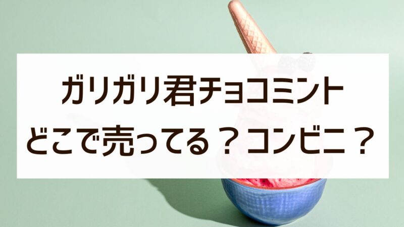 ガリガリ君チョコミントはどこで売ってる？コンビニある？
