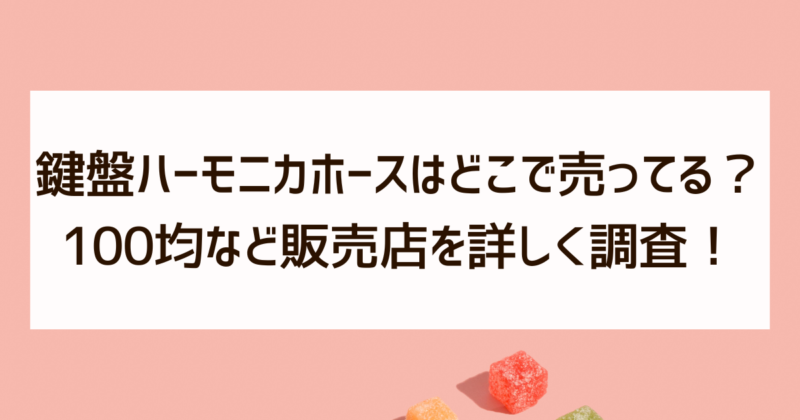 鍵盤ハーモニカホース　どこで売ってる　100均　販売店　調査