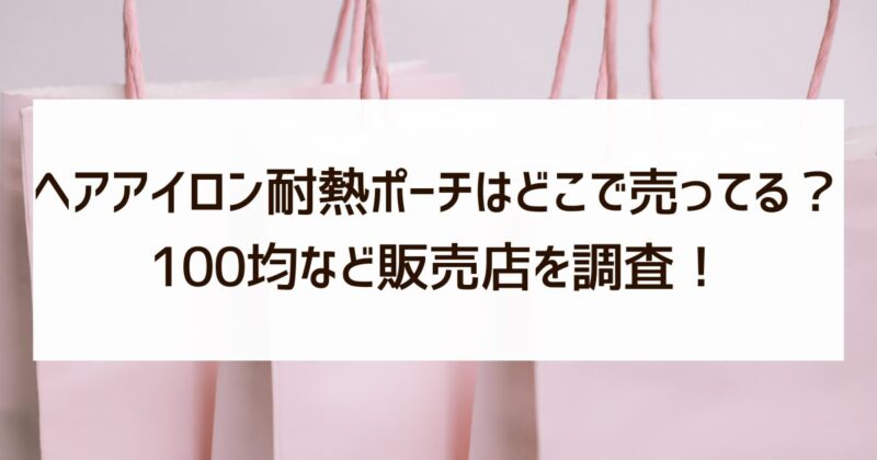 ヘアアイロン耐熱ポーチ　どこで売ってる　100均　販売店　調査